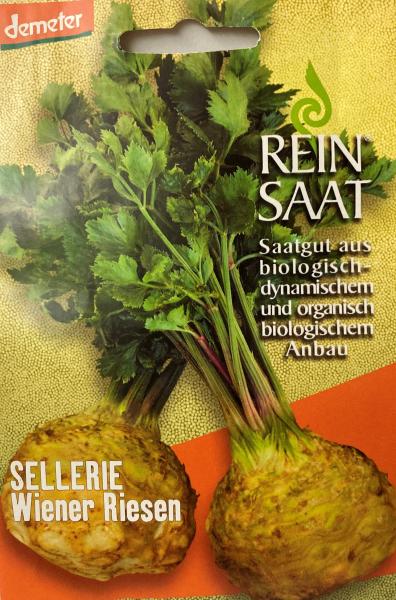 Sellerie Wiener Riese - Saatgut - Samen - Demeter - aus biologischem Anbau Bio